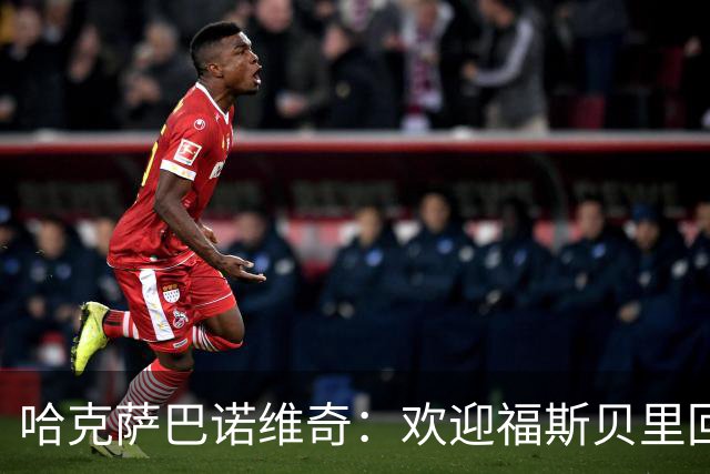 哈克萨巴诺维奇：欢迎福斯贝里回归，他能让马尔默升级